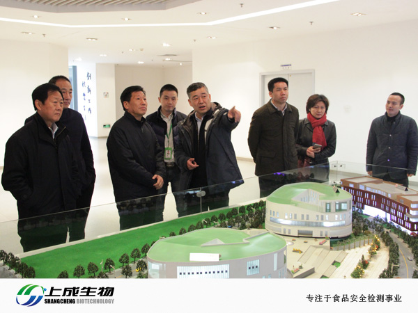 湖北省农业厅领导莅临上成生物