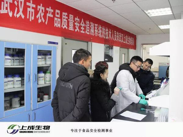 武汉市农产品质量安全追溯系统（水产品检测）技术培训在上成生物顺利开展
