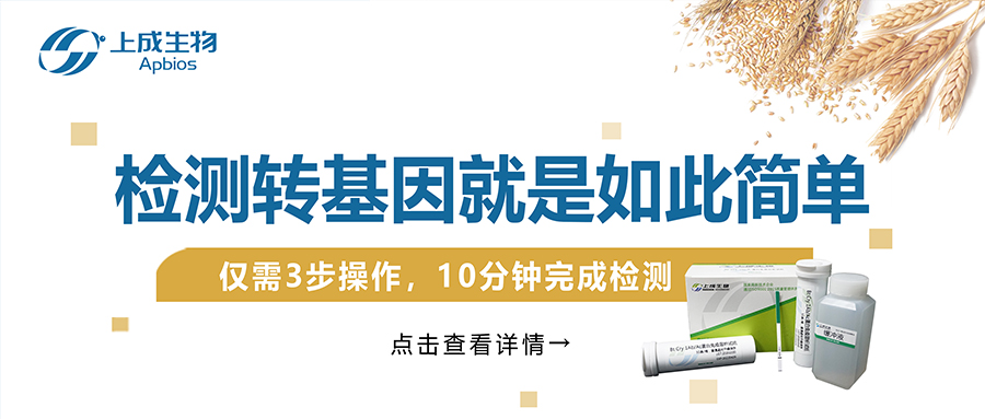 检测转基因就是如此简单