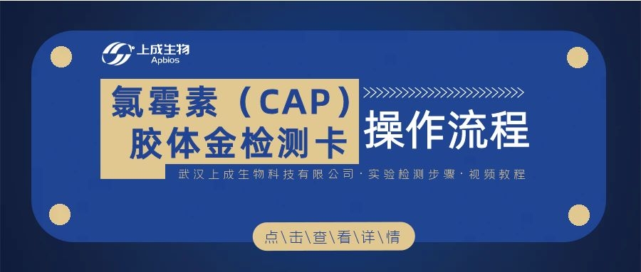 视频教程 ▏氯霉素(CAP)胶体金检测卡操作流程